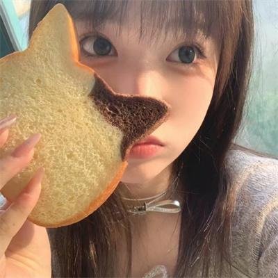 秋田犬蓬夫